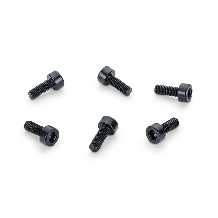 Schaller Saddle Mounting Screws für Lockmeister Tremolo