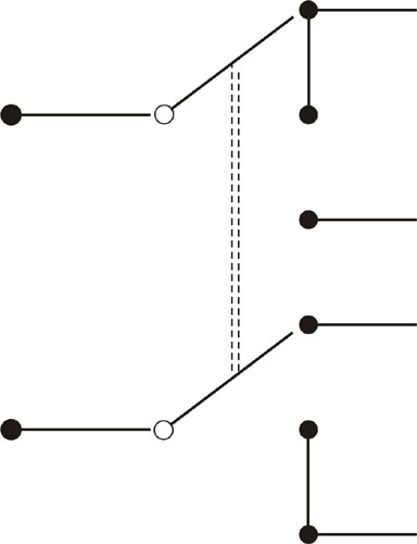 Double Toggle Switch