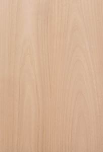 Body Blank, Erle (Alder)