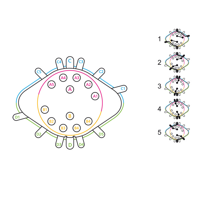 5-fach Drehschalter