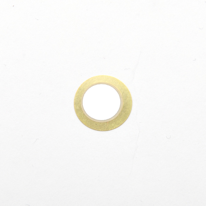 Piezo Pickup Plate